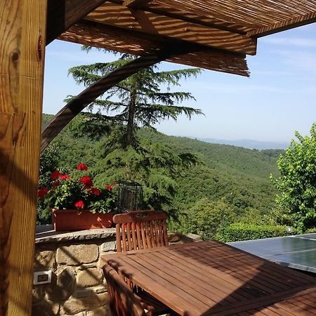 Agriturismo Borgo Nuovo Di Mulinelli Arezzo Ngoại thất bức ảnh