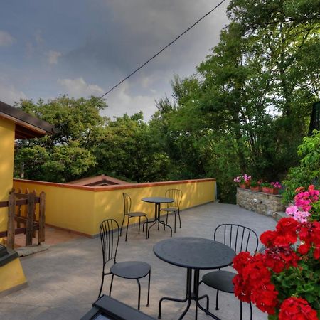 Agriturismo Borgo Nuovo Di Mulinelli Arezzo Ngoại thất bức ảnh