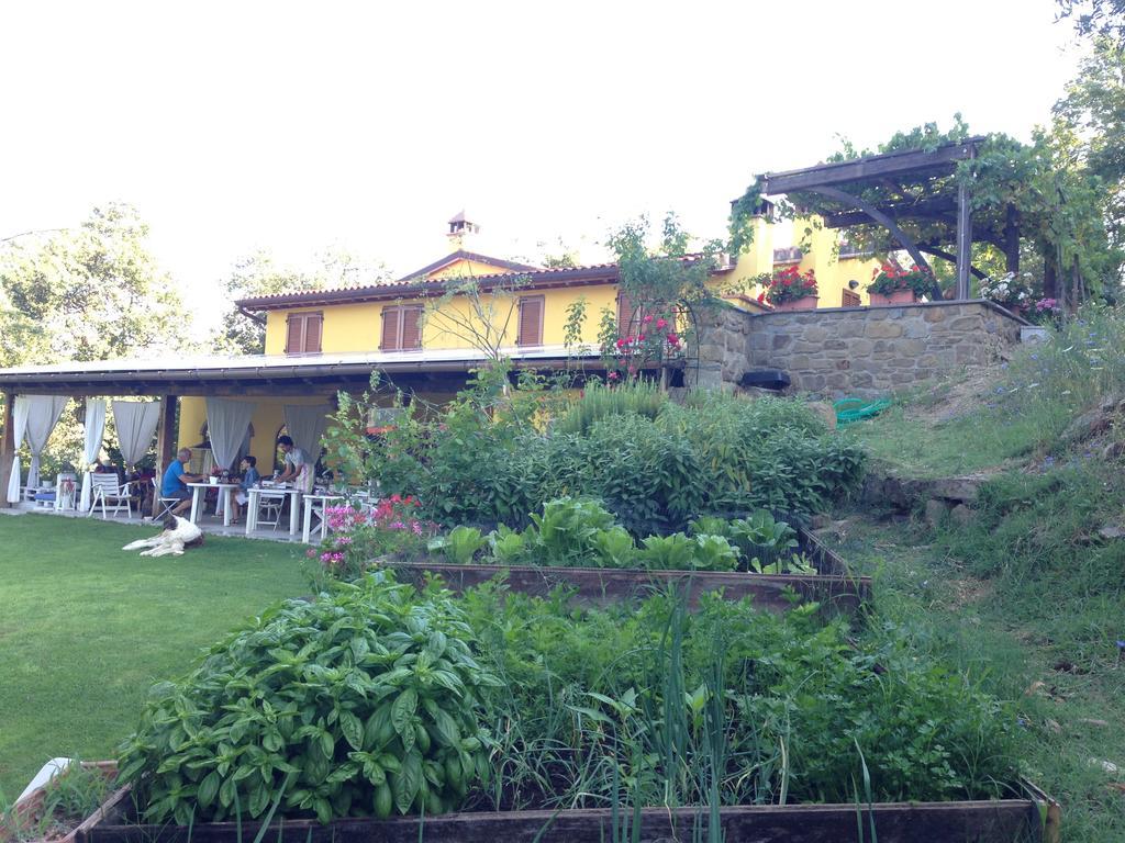 Agriturismo Borgo Nuovo Di Mulinelli Arezzo Ngoại thất bức ảnh