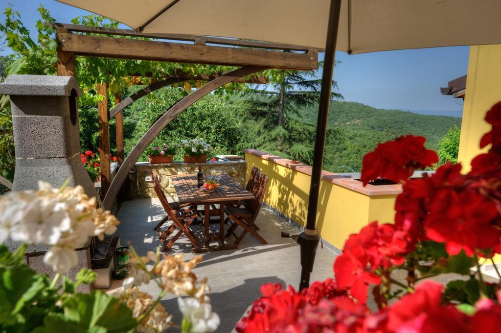 Agriturismo Borgo Nuovo Di Mulinelli Arezzo Ngoại thất bức ảnh